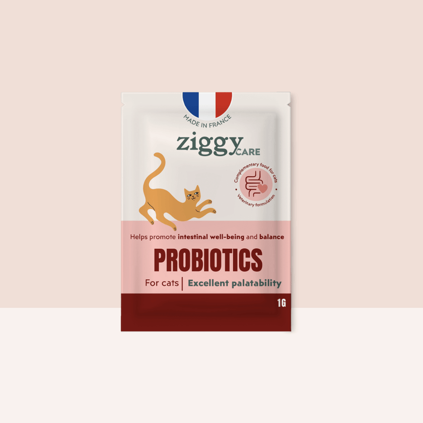 Ziggy Probiotic Supplement for cats, sachet – digestive health support