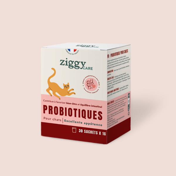 1 sachet de probiotiques de 1g Ziggy pour chat et chaton qui améliorent la digestion chez le chat