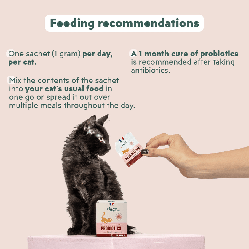 Composition of Ziggy Probiotic Supplement for cats, made from natural ingredients