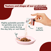 How to use Ziggy Probiotic Supplement for cats – digestive health support sachets