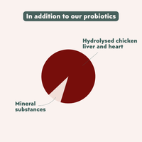 Close-up of Ziggy Probiotic Supplement powder for cats – digestive health support