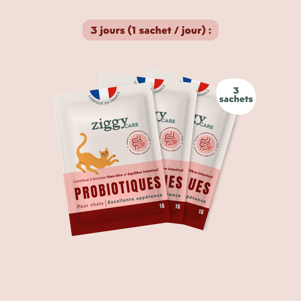 1 sachet de probiotiques de 1g Ziggy pour chat et chaton qui améliorent la digestion chez le chat