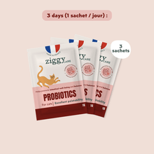 Ziggy Probiotic Supplement for cats, single sachet envelope – digestive health support