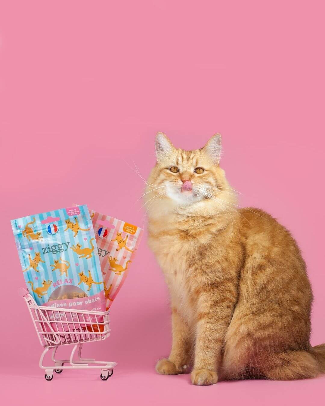 Friandises Ziggy, chat assis à côté du produit sur fond rose