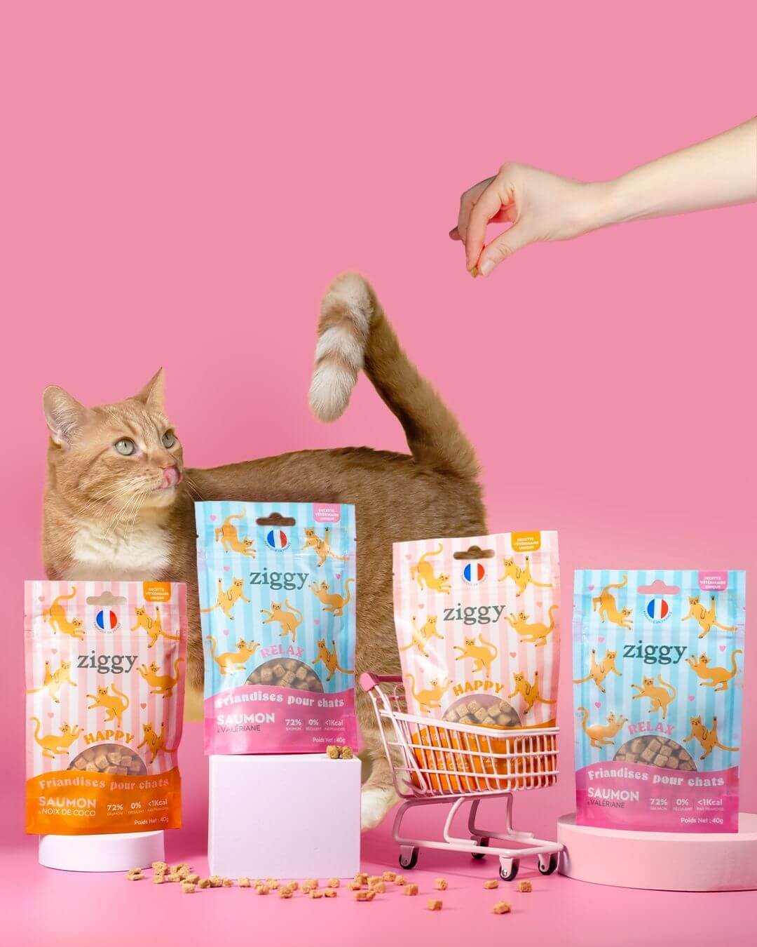 Friandises Ziggy, mise en situation avec un chat