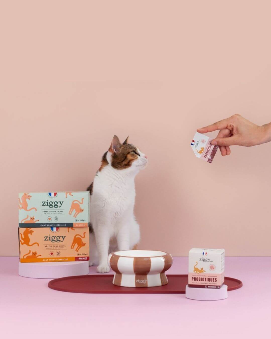 Probiotiques Ziggy 30 sachets, photo produit vue de face