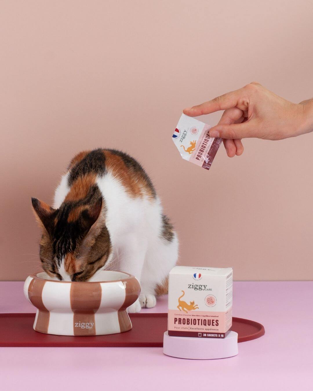 Probiotiques Ziggy 30 sachets, gros plan sur le sachet