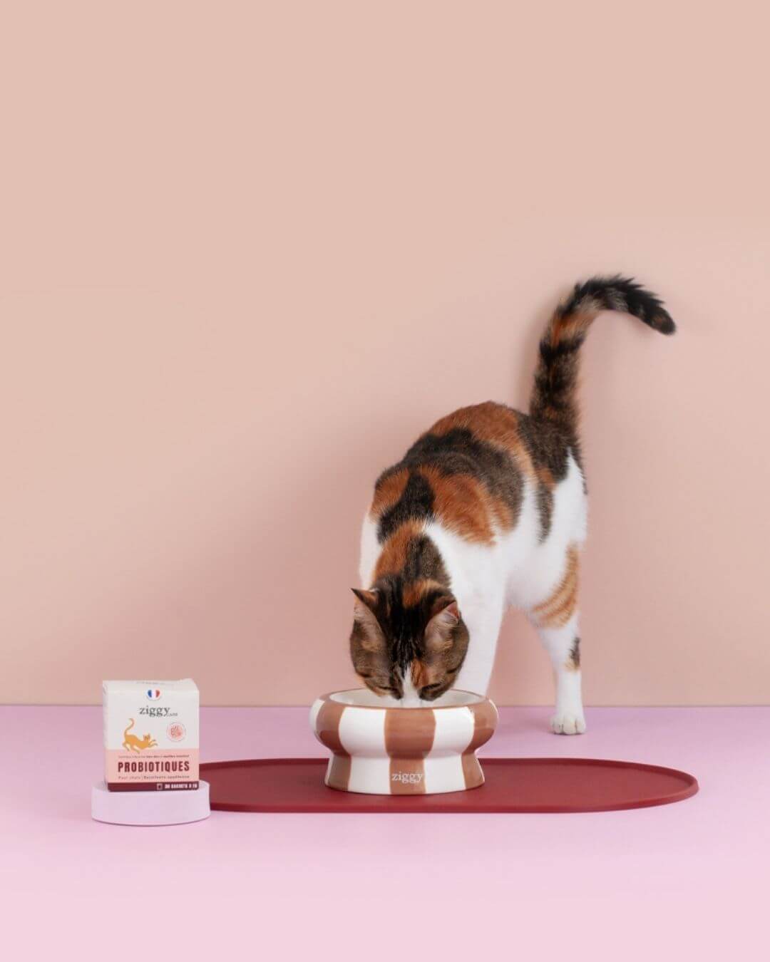Probiotiques Ziggy 30 sachets, vue de profil