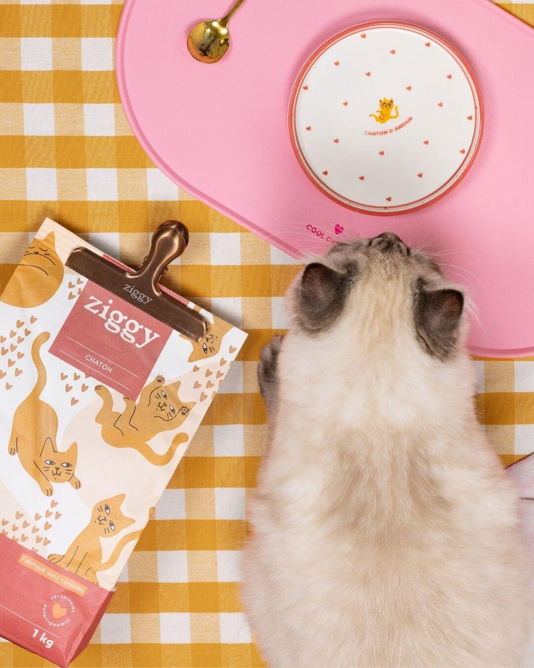 Croquettes Ziggy Chaton Poulet sans céréales, mise en situation avec accessoire déco