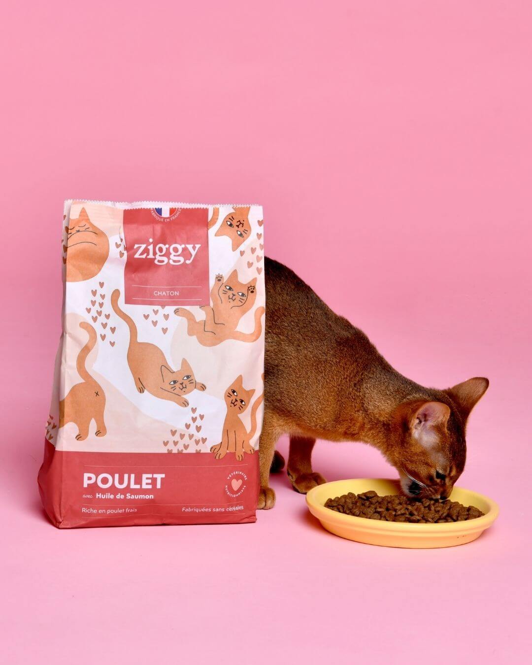 Croquettes Ziggy Chaton Poulet sans céréales, photo produit avec chaton