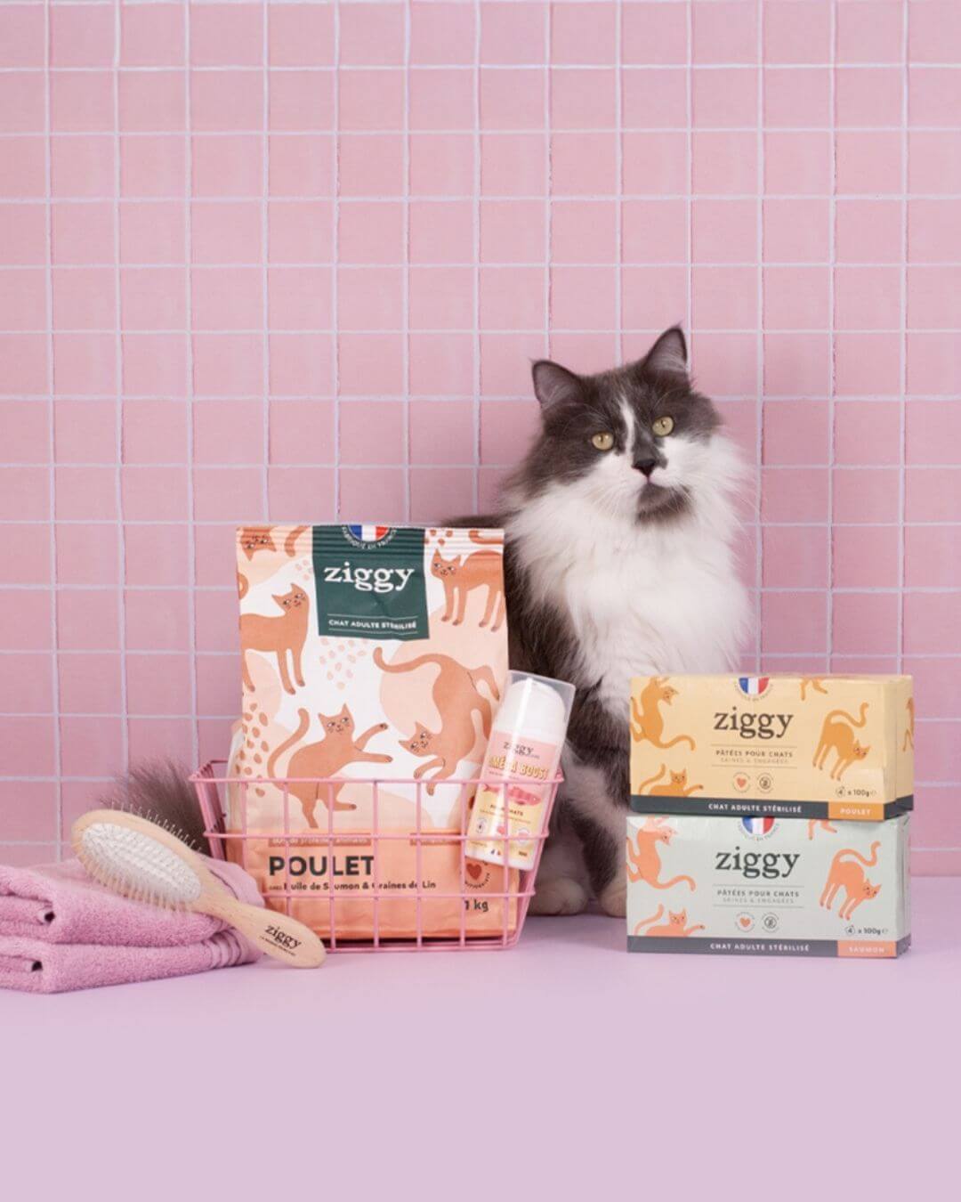 Coffret Ziggy Stérilisé Poulet, photo produit sur fond rose
