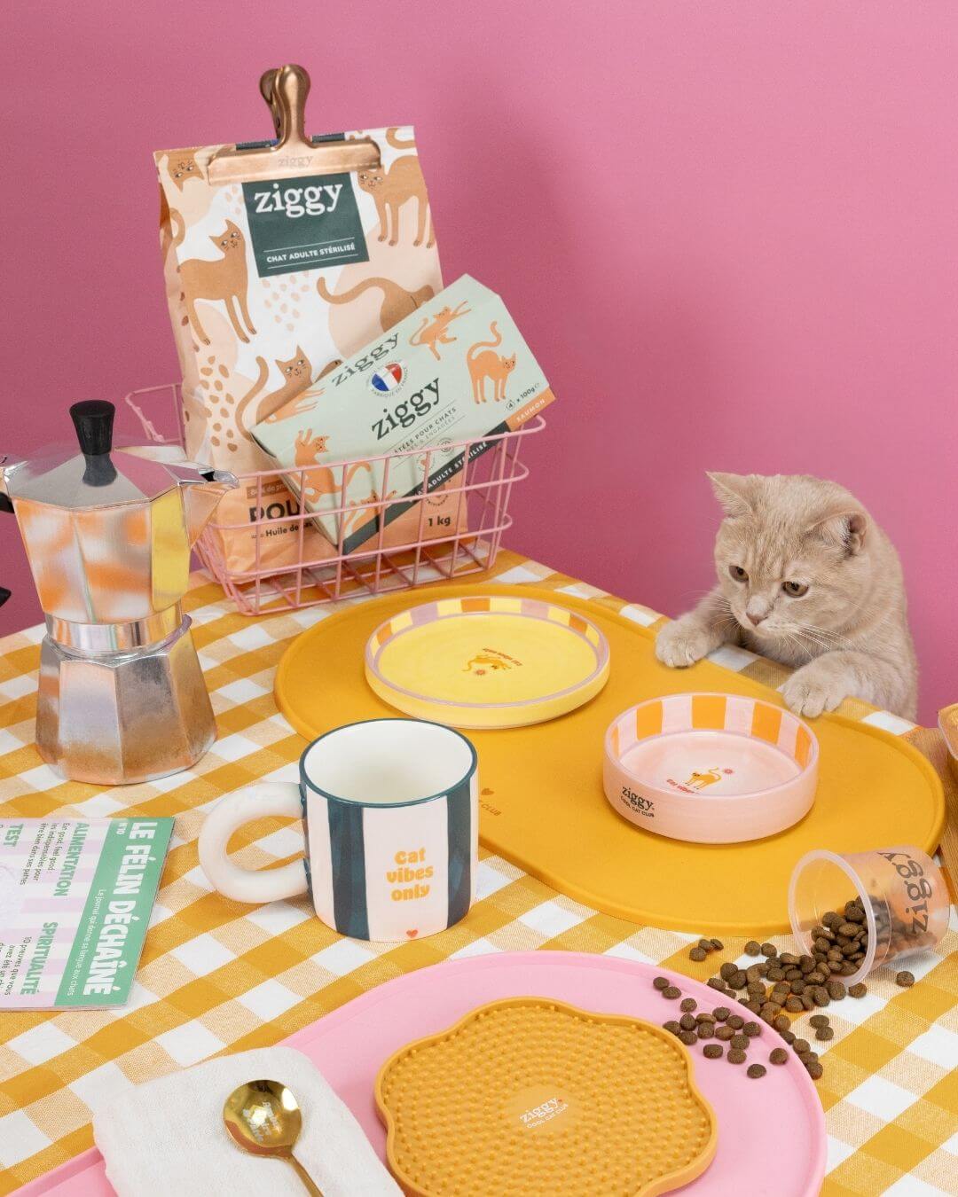 Coffret Ziggy Stérilisé Poulet, packaging sur fond à motif jaune