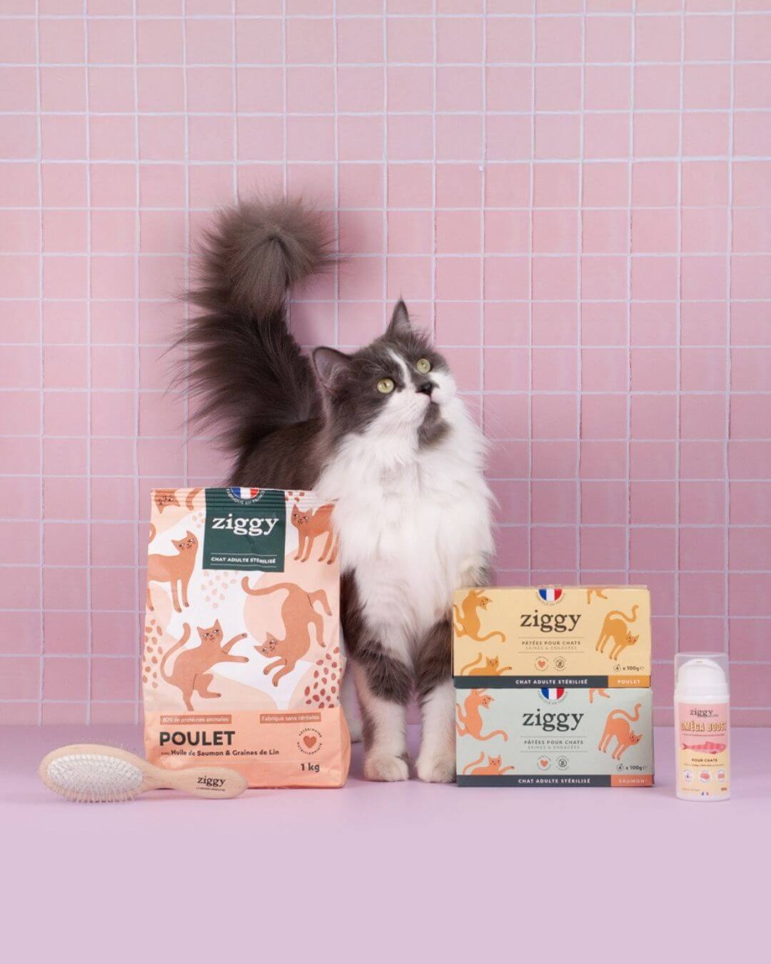 Coffret Ziggy Stérilisé Poulet, mise en situation avec un chat