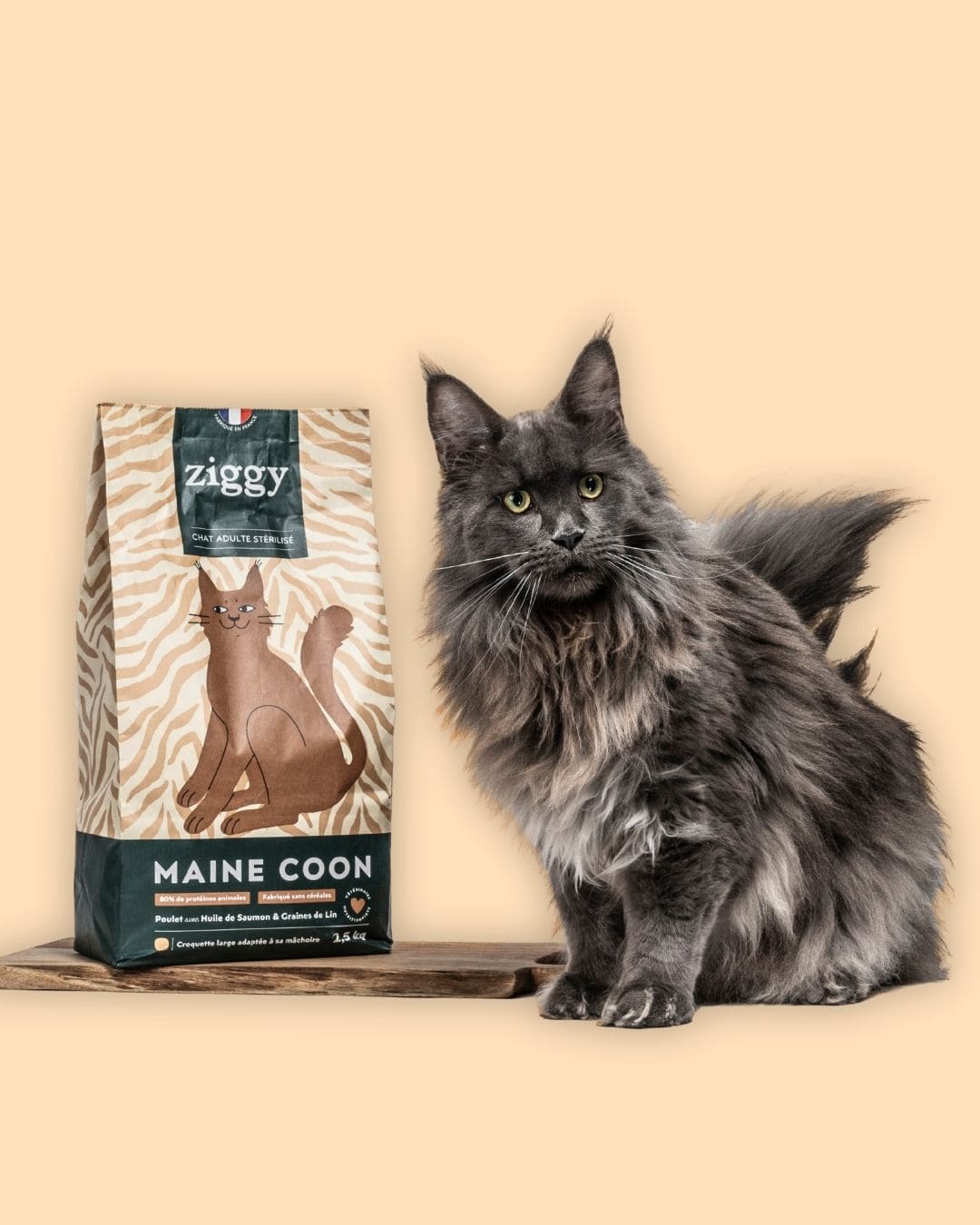 Croquettes Ziggy Maine Coon Poulet sans céréales, chat noir près du paquet