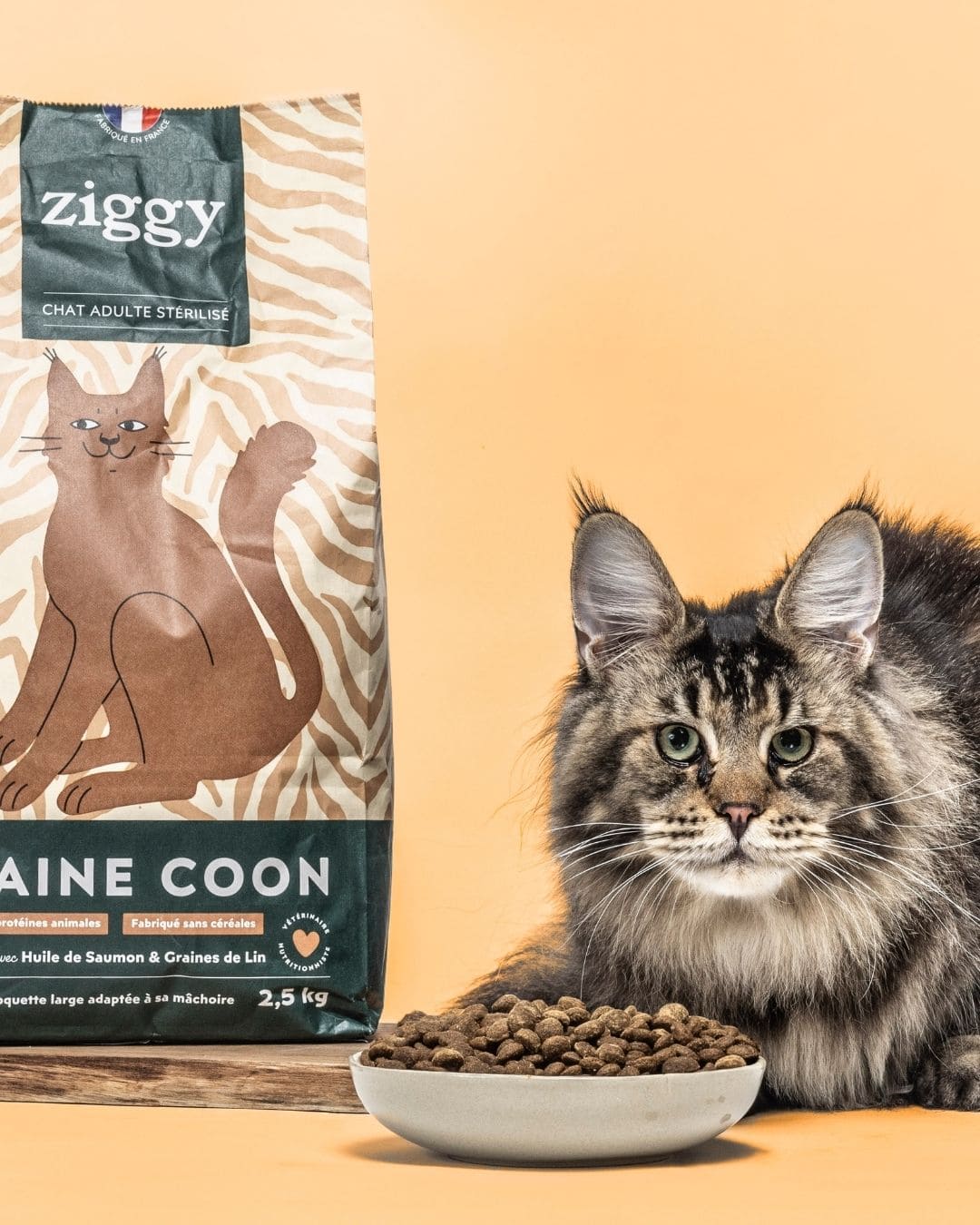 Croquettes Ziggy Maine Coon Poulet sans céréales, chat assis à côté du paquet