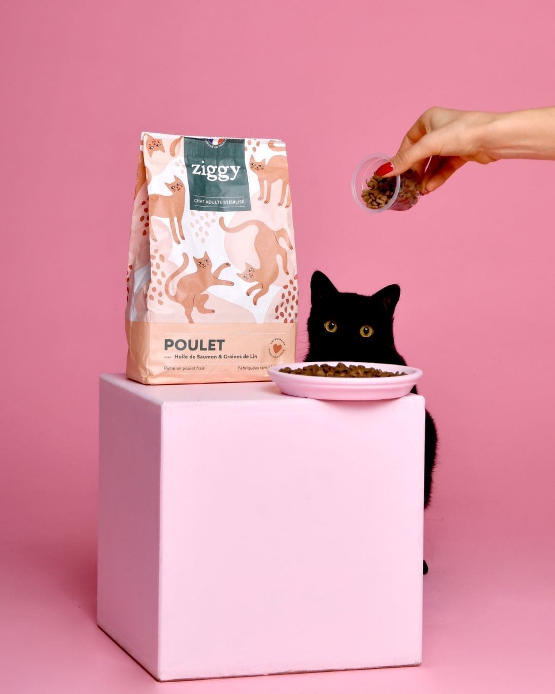Croquettes Ziggy Stérilisé Poulet sans céréales, main attrapant le paquet sur socle rose