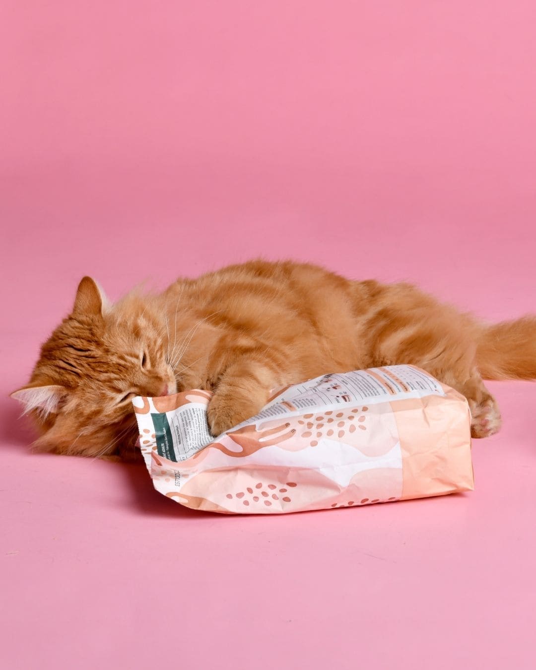 Croquettes Ziggy Stérilisé Poulet sans céréales, chat roux allongé sur fond rose