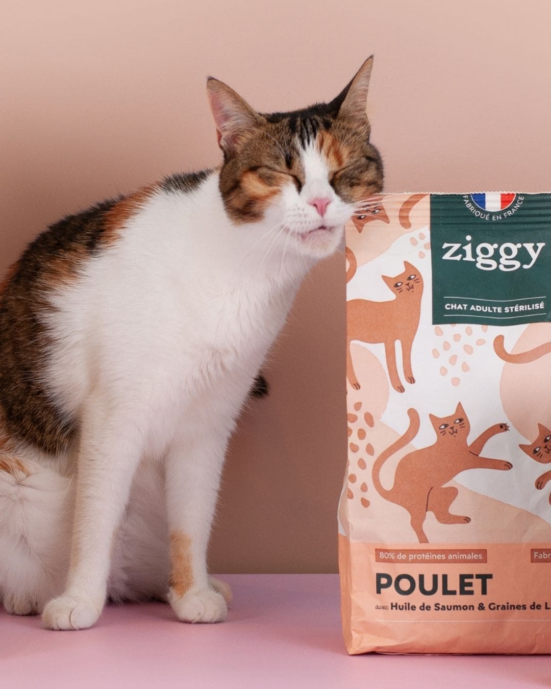 Croquettes Ziggy Stérilisé Poulet sans céréales, chat blanc debout à côté du paquet