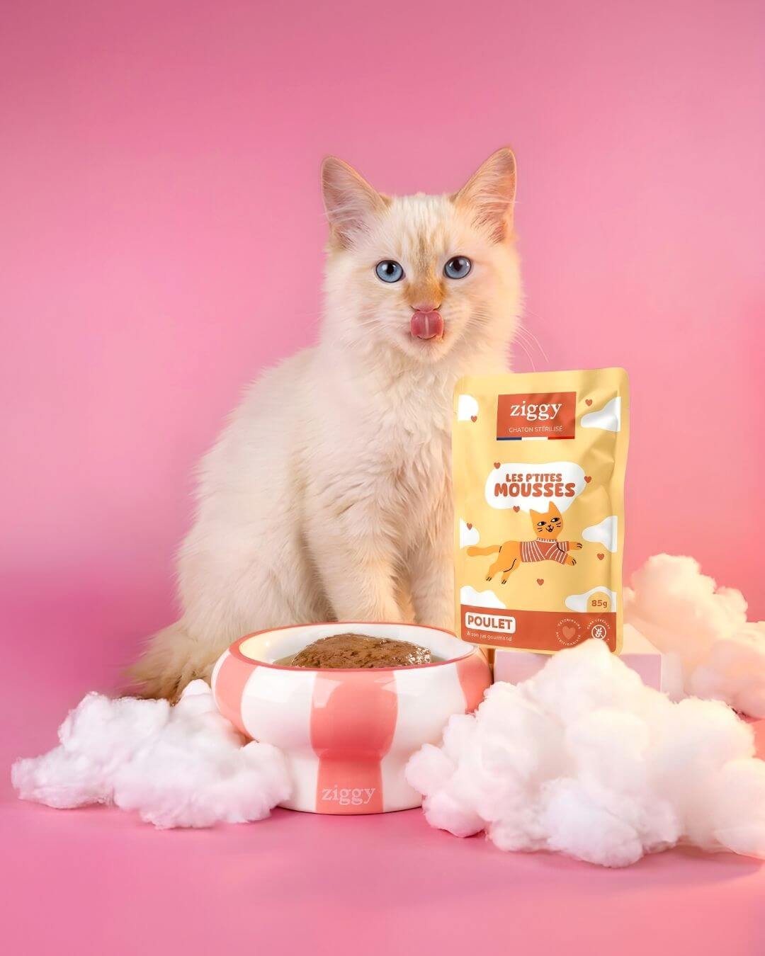 Chaton devant un sachet de mousse chaton stérilisé au poulet Ziggy et sa gamelle, sur fond rose et nuages
