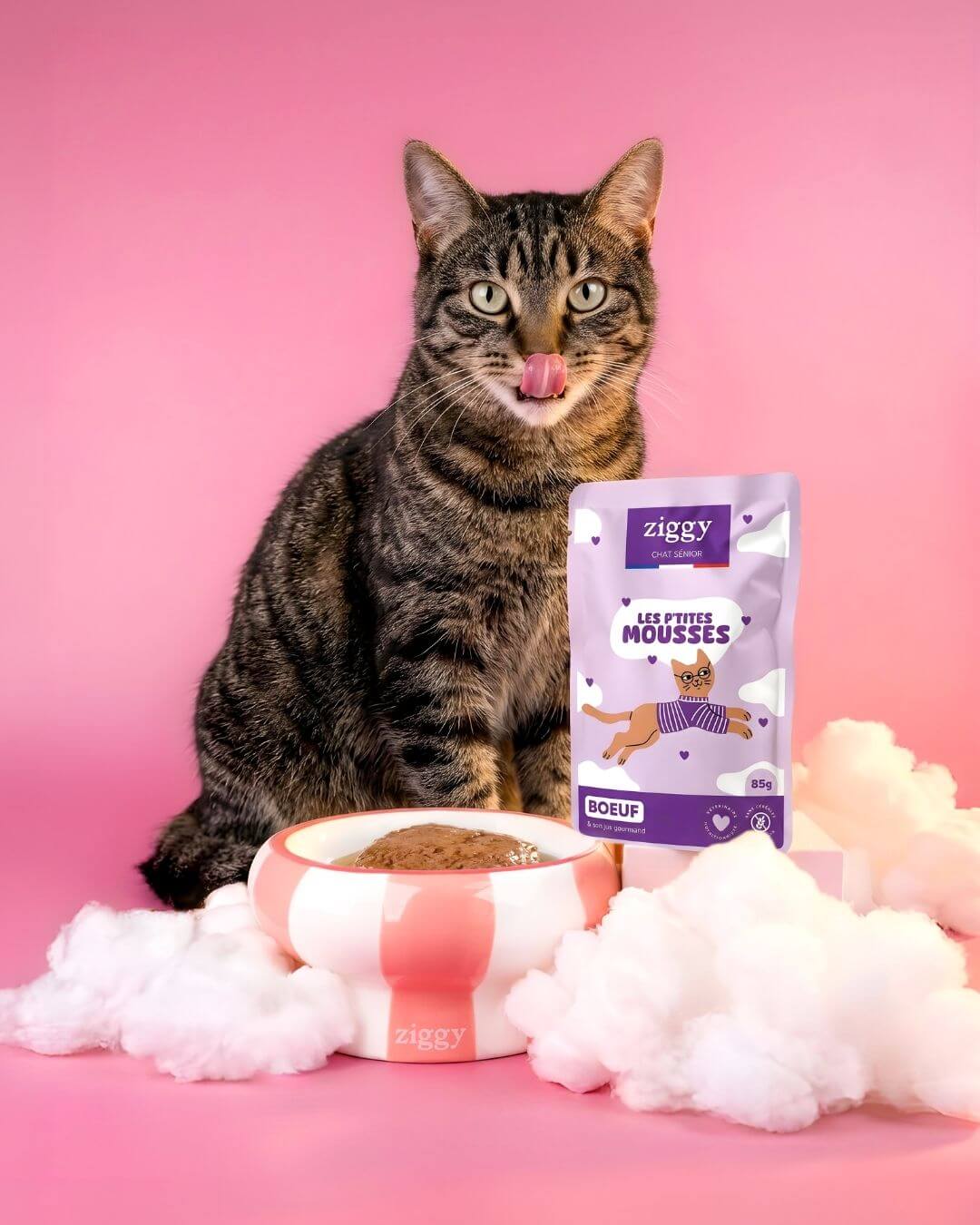 Chat tigré devant un sachet de mousse Ziggy pour chat senior au bœuf et sa gamelle, sur fond rose et nuages