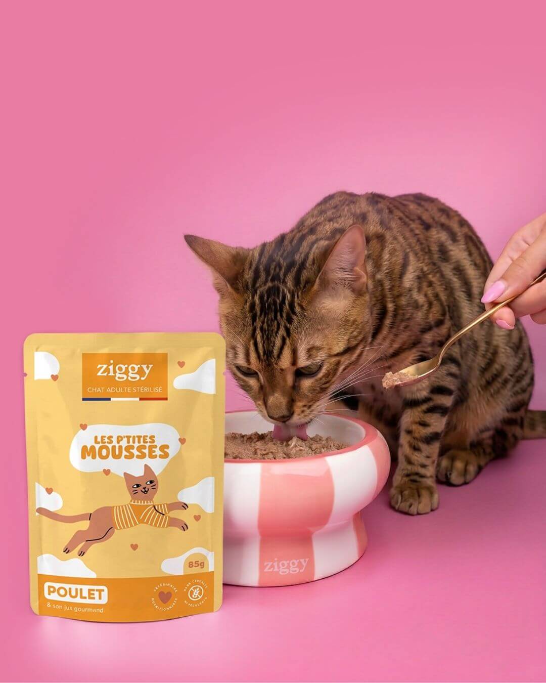 Chat mangeant dans une gamelle  à côté d’un sachet de mousse Ziggy pour chat stérilisé au poulet