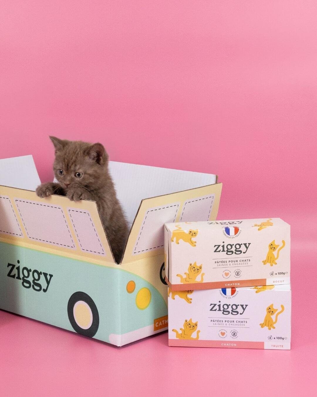 Pâtée Ziggy Chaton Boeuf, gros plan sur l'emballage