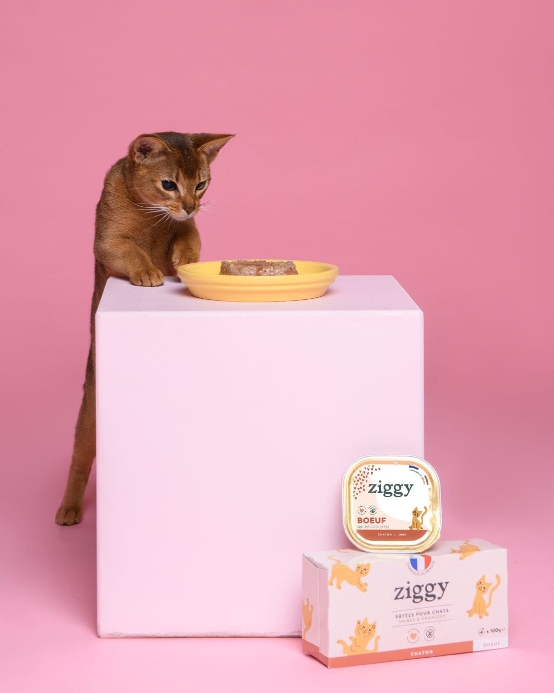 Pâtée Ziggy Chaton Boeuf, vue de profil