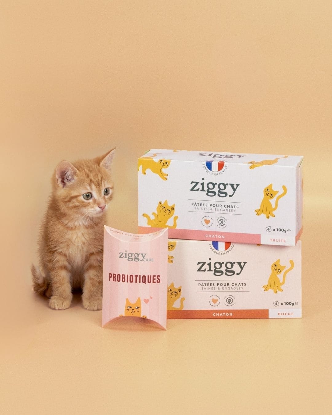 Pâtée Ziggy Chaton Truite, mise en situation avec un chaton