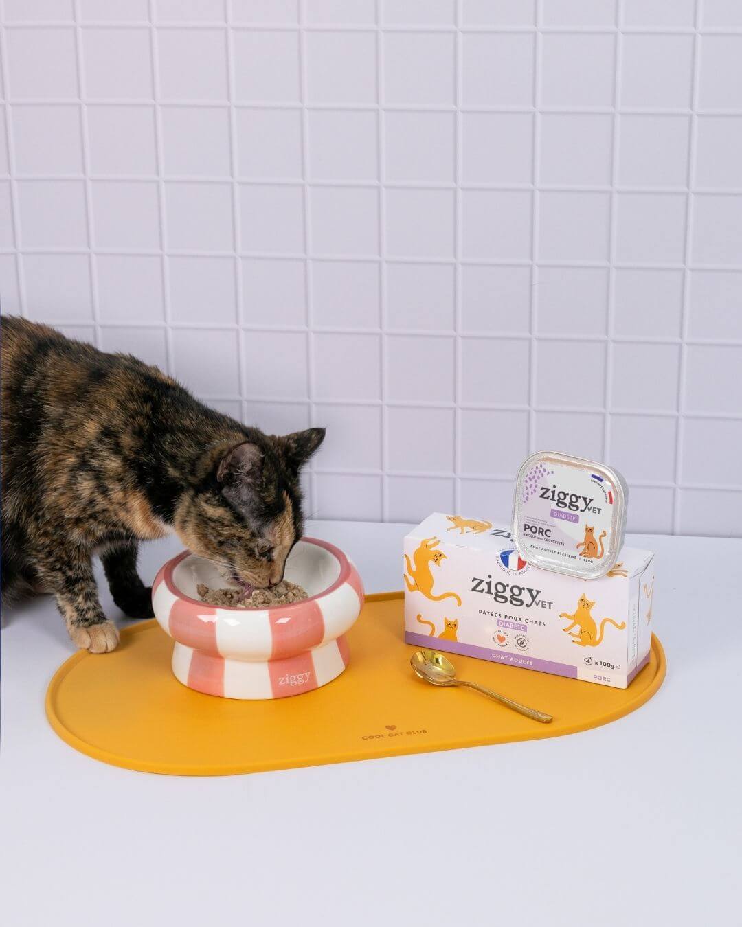 Pâtée Ziggy Diabète, photo produit vue de face