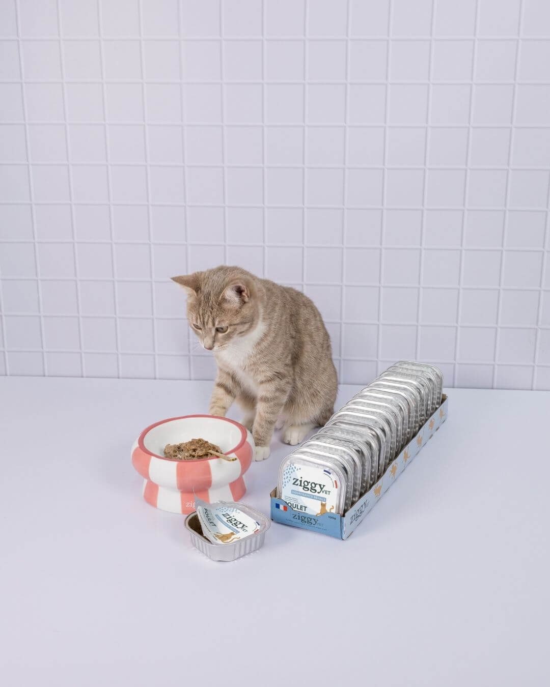 Pâtée Ziggy Rénal Saumon, gros plan sur l'emballage