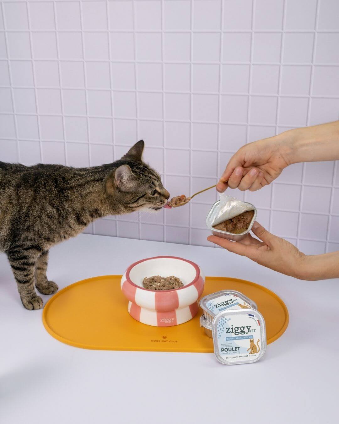 Pâtée Ziggy Rénal Saumon, photo produit vue de face
