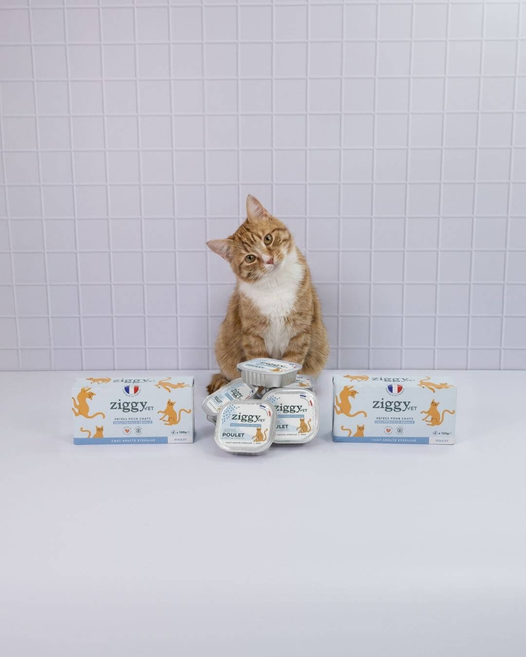 Pâtée Ziggy Rénal Poulet, vue de l'intérieur du produit