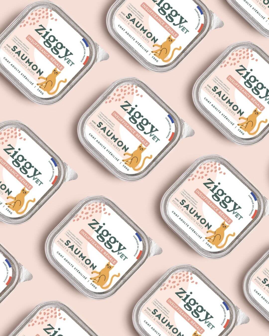 Pâtée Ziggy Rénal, visuel produit détouré