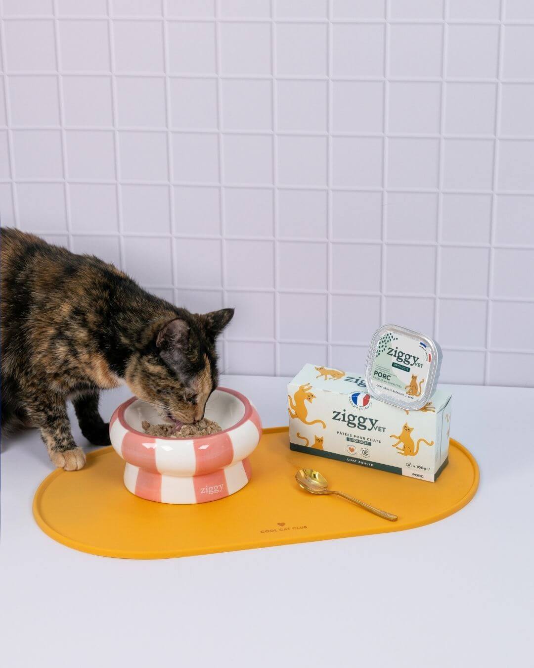 Pâtée Ziggy Urologie, mise en situation avec un chat