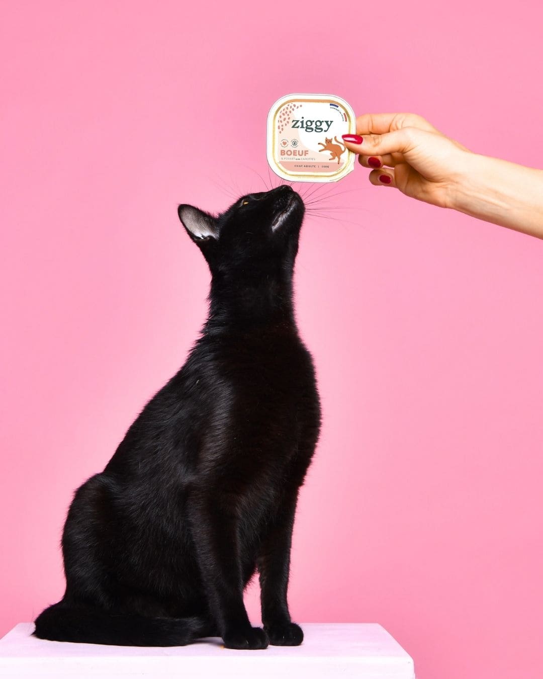 Pâtée Ziggy Entier Boeuf, photo produit vue de face