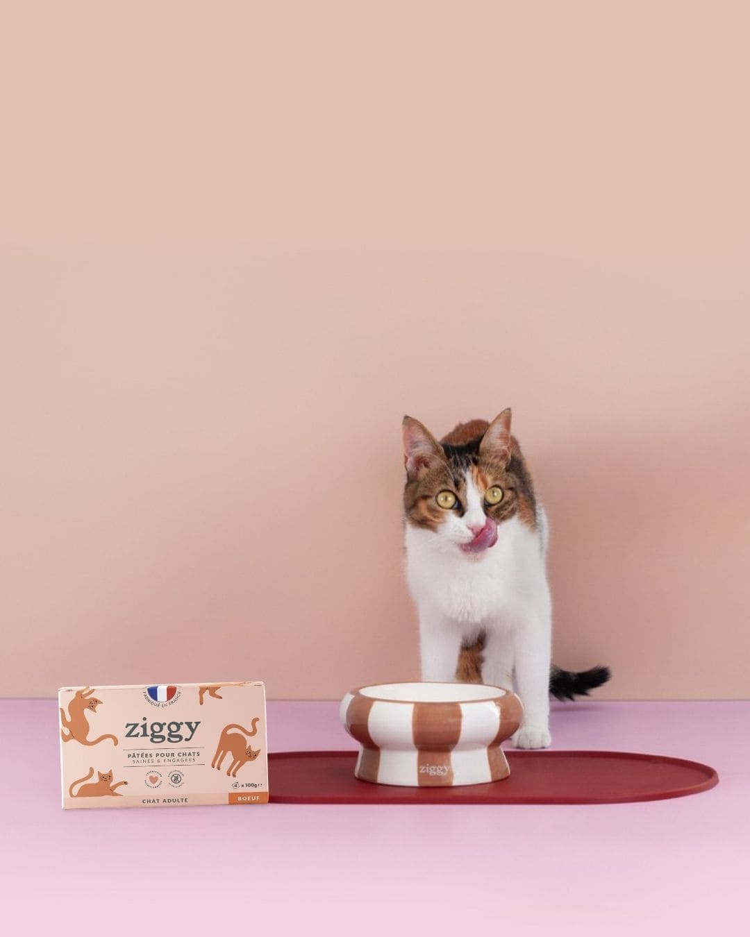 Pâtée Ziggy Entier Boeuf, vue de profil