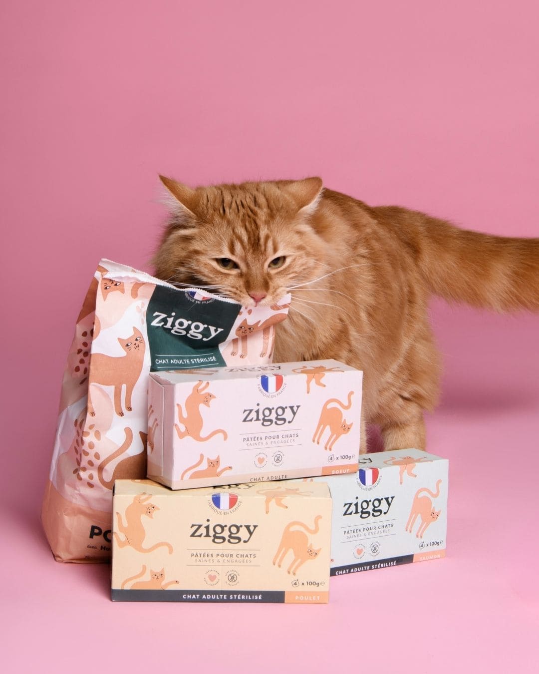 Pâtée Ziggy Entier Boeuf, gros plan sur l'emballage
