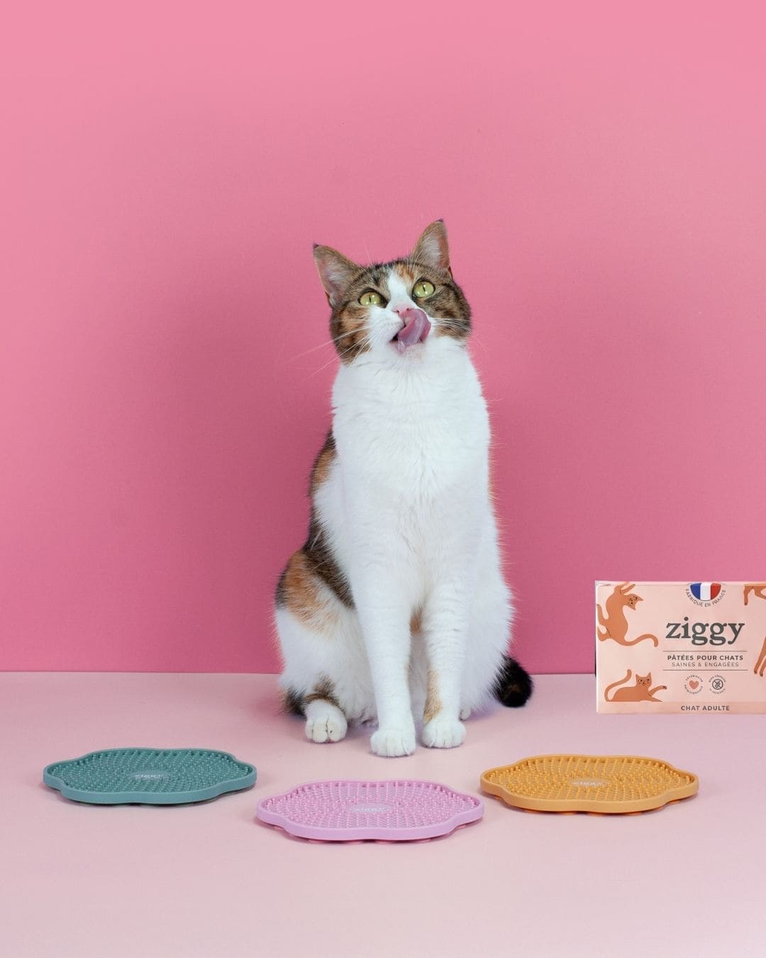 Pâtée Ziggy Entier Boeuf, vue de l'intérieur du produit