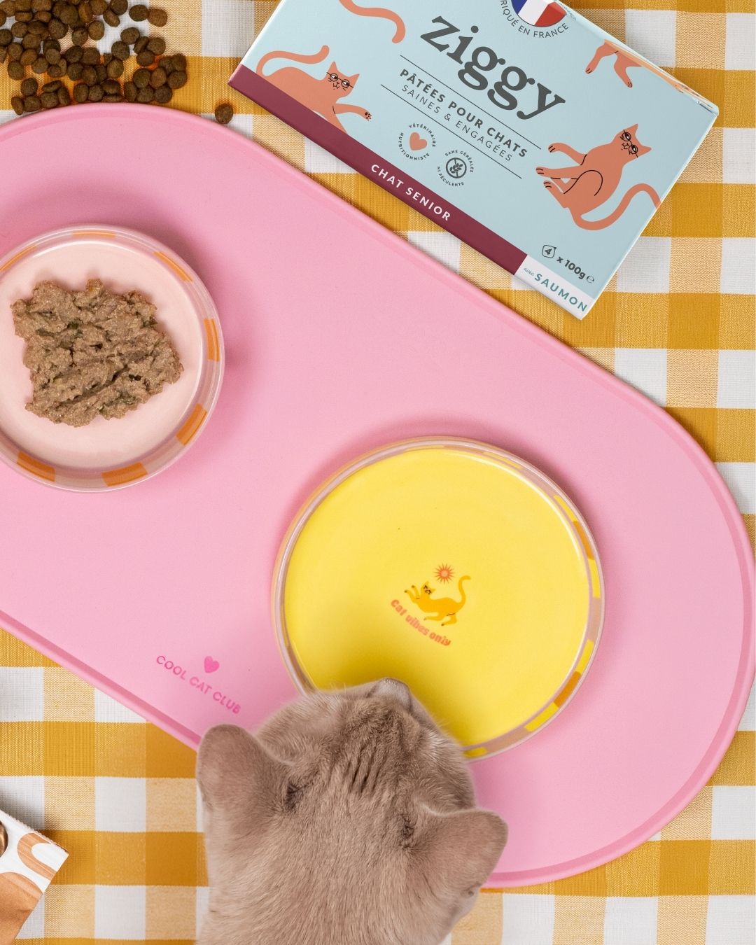 Pâtée Ziggy Senior Saumon, vue de l'intérieur du produit
