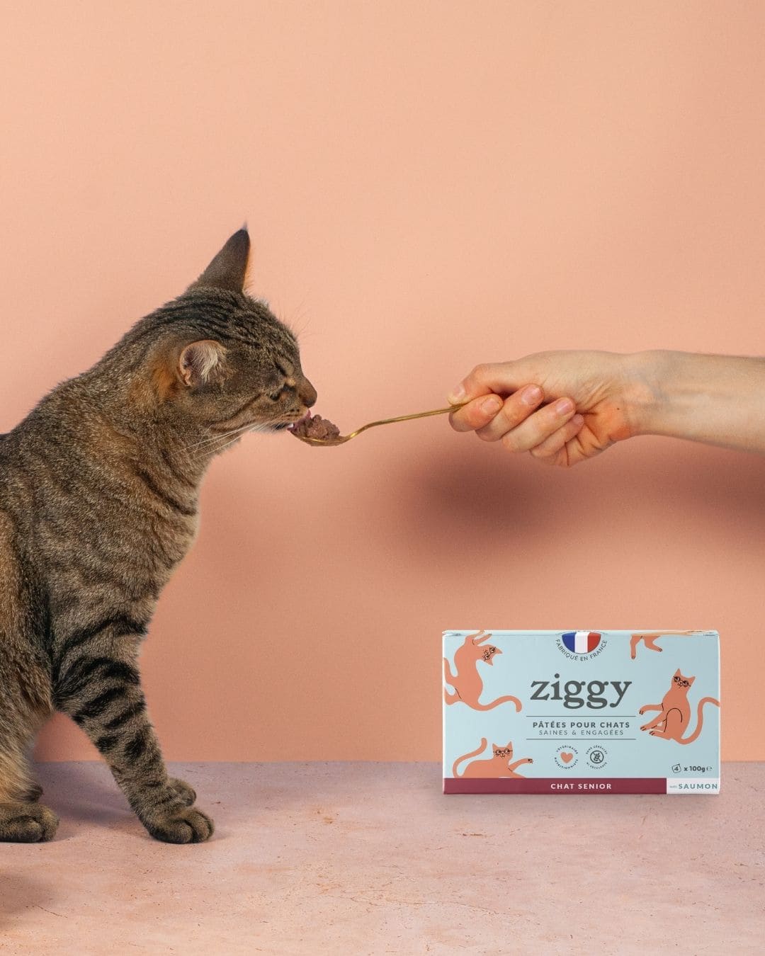 Pâtée Ziggy Rénal, photo produit vue de face