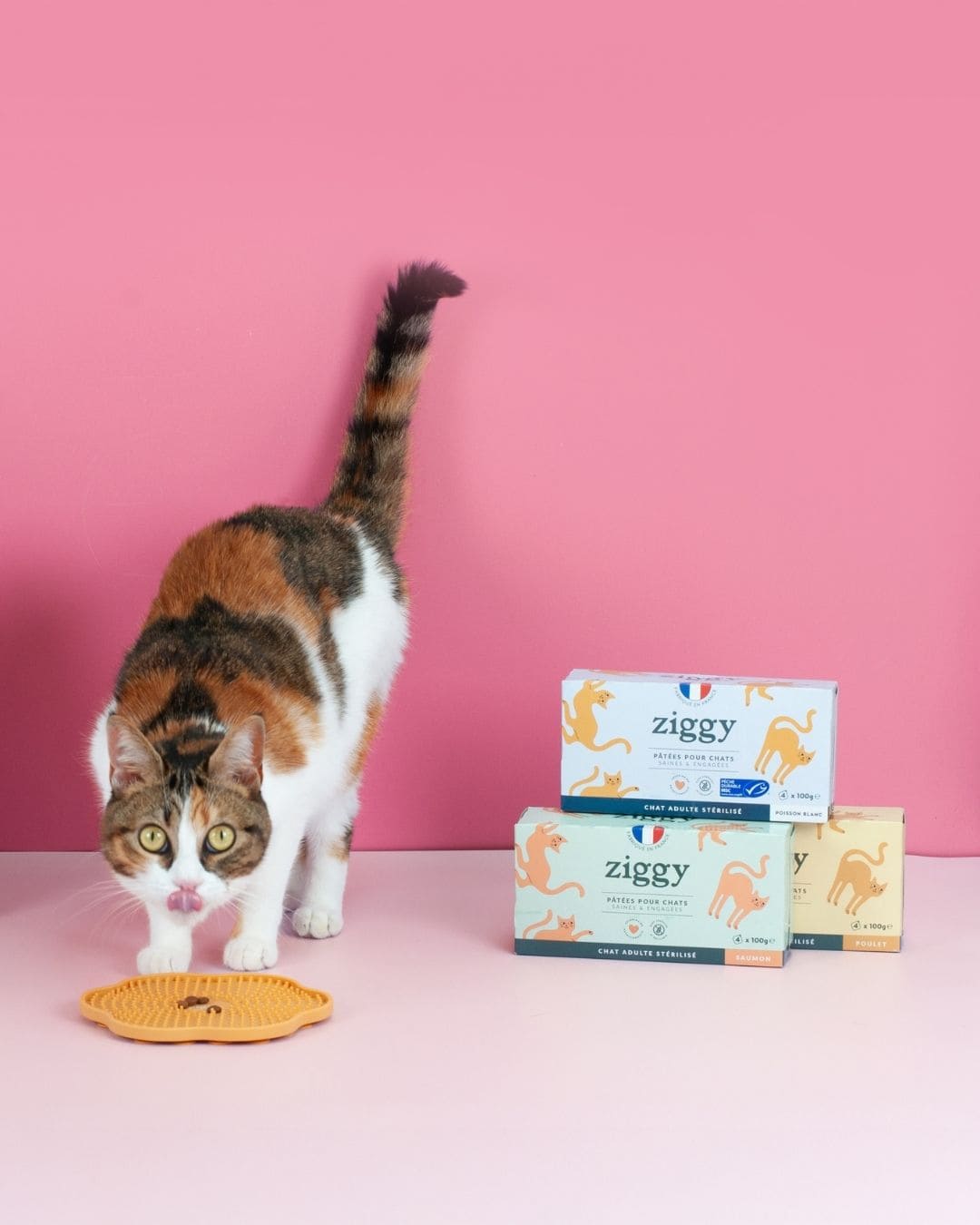 Pâtée Ziggy Stérilisé Poisson Blanc, photo produit vue de face