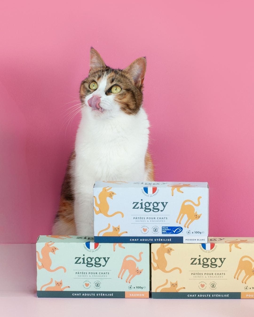 Pâtée Ziggy Stérilisé Poisson Blanc, vue de profil