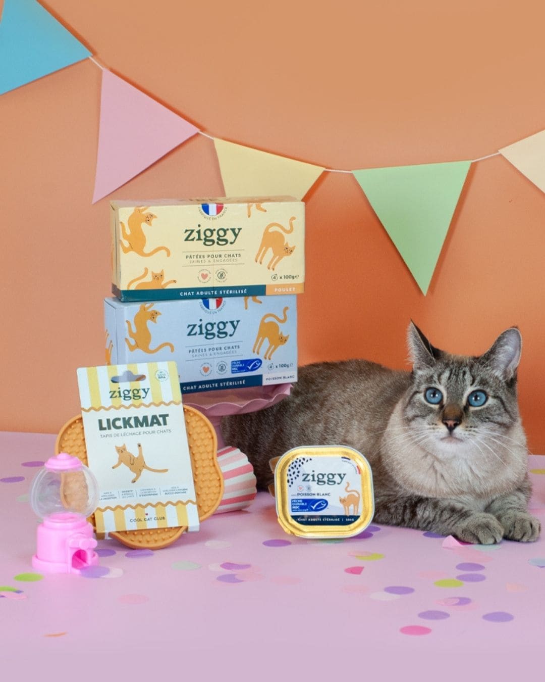 Pâtée Ziggy Stérilisé Poulet Olives, gros plan sur l'emballage