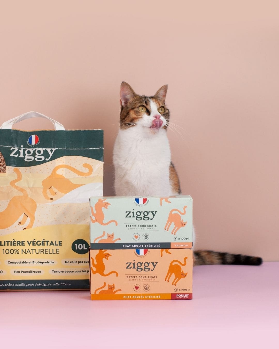 Pâtée Ziggy Stérilisé Saumon, photo produit vue de face