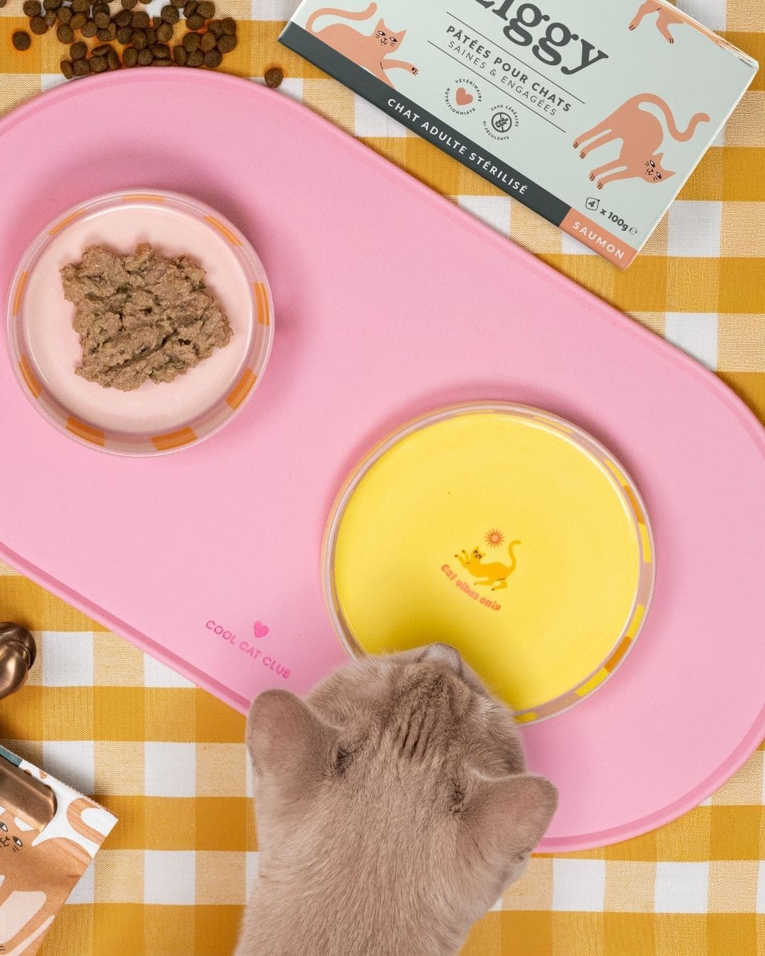 Pâtée Ziggy Stérilisé Saumon, gros plan sur l'emballage