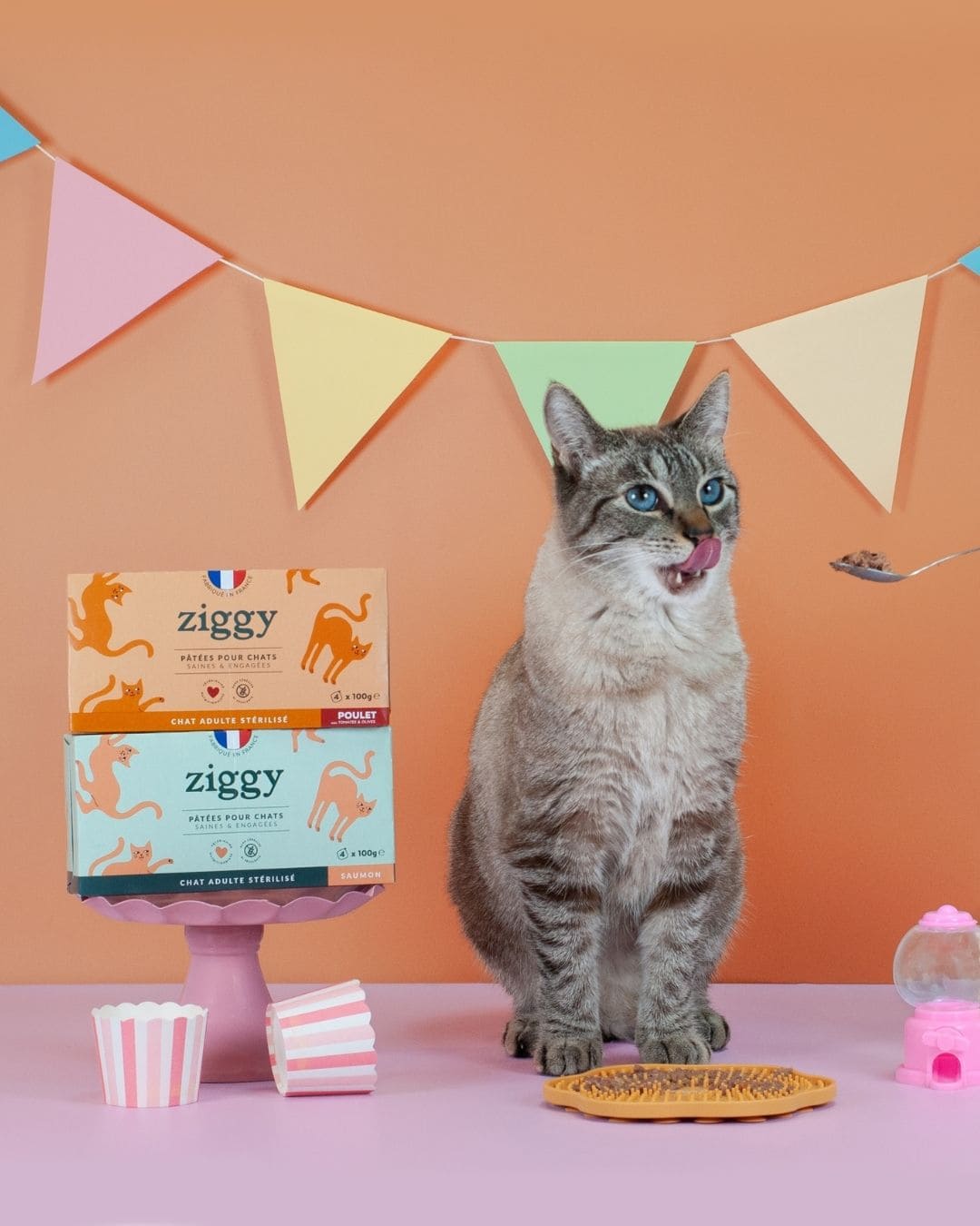 Pâtée Ziggy Stérilisé Saumon, mise en situation avec un chat