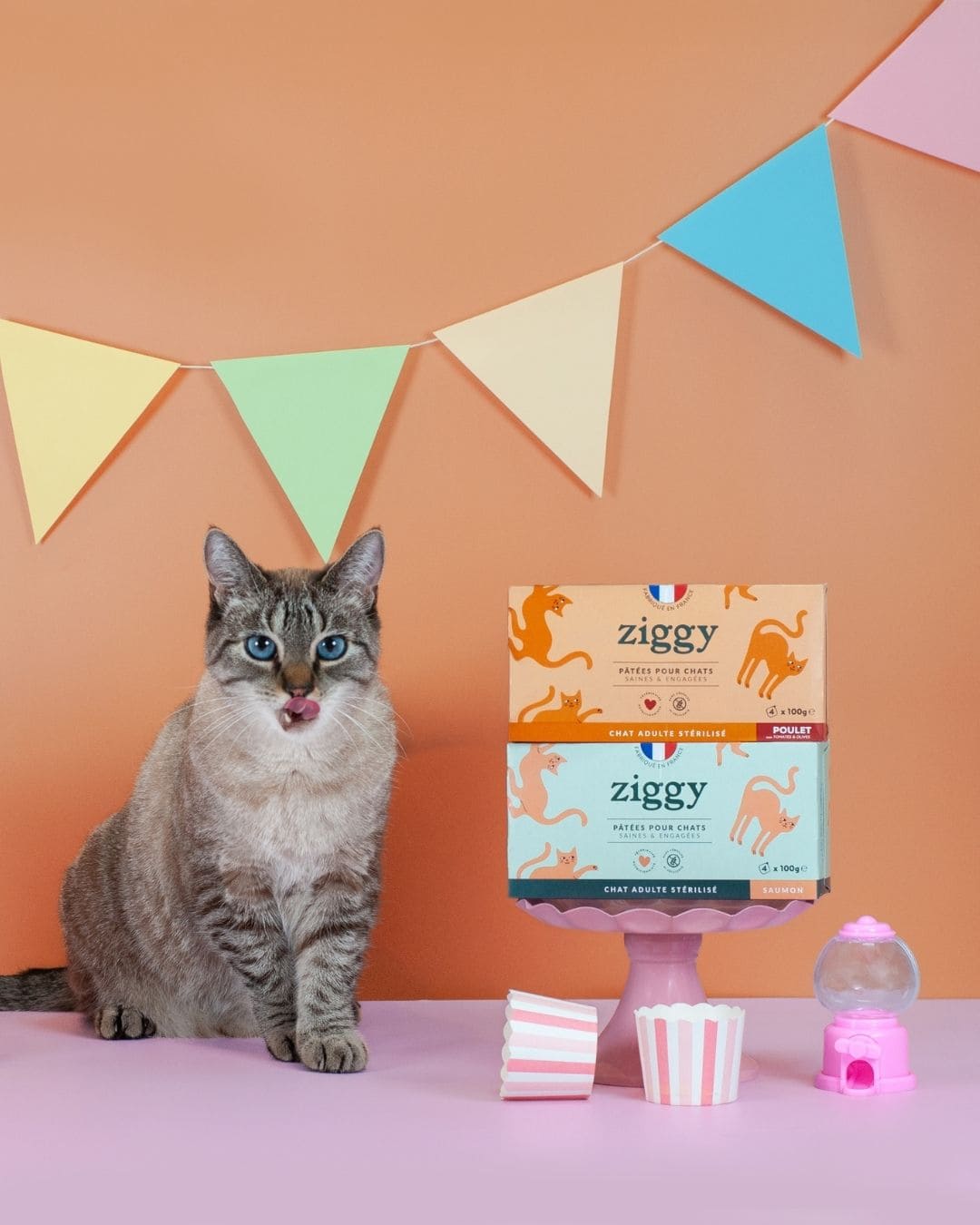 Pâtée Ziggy Stérilisé Saumon, vue de l'intérieur du produit