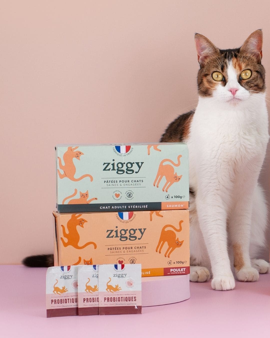 Pâtée Ziggy Stérilisé Poulet, photo produit vue de face