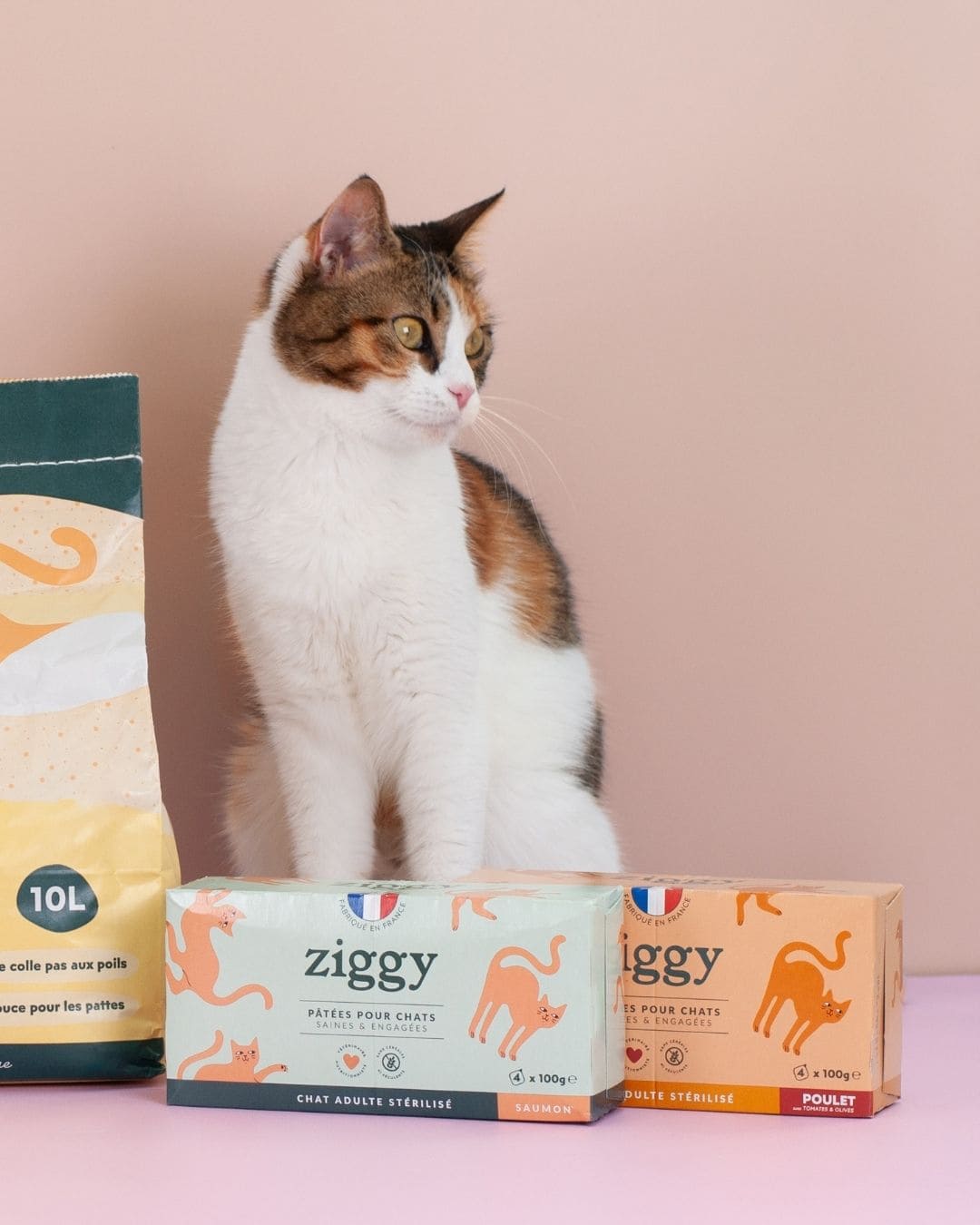 Pâtée Ziggy Stérilisé Poulet, gros plan sur l'emballage