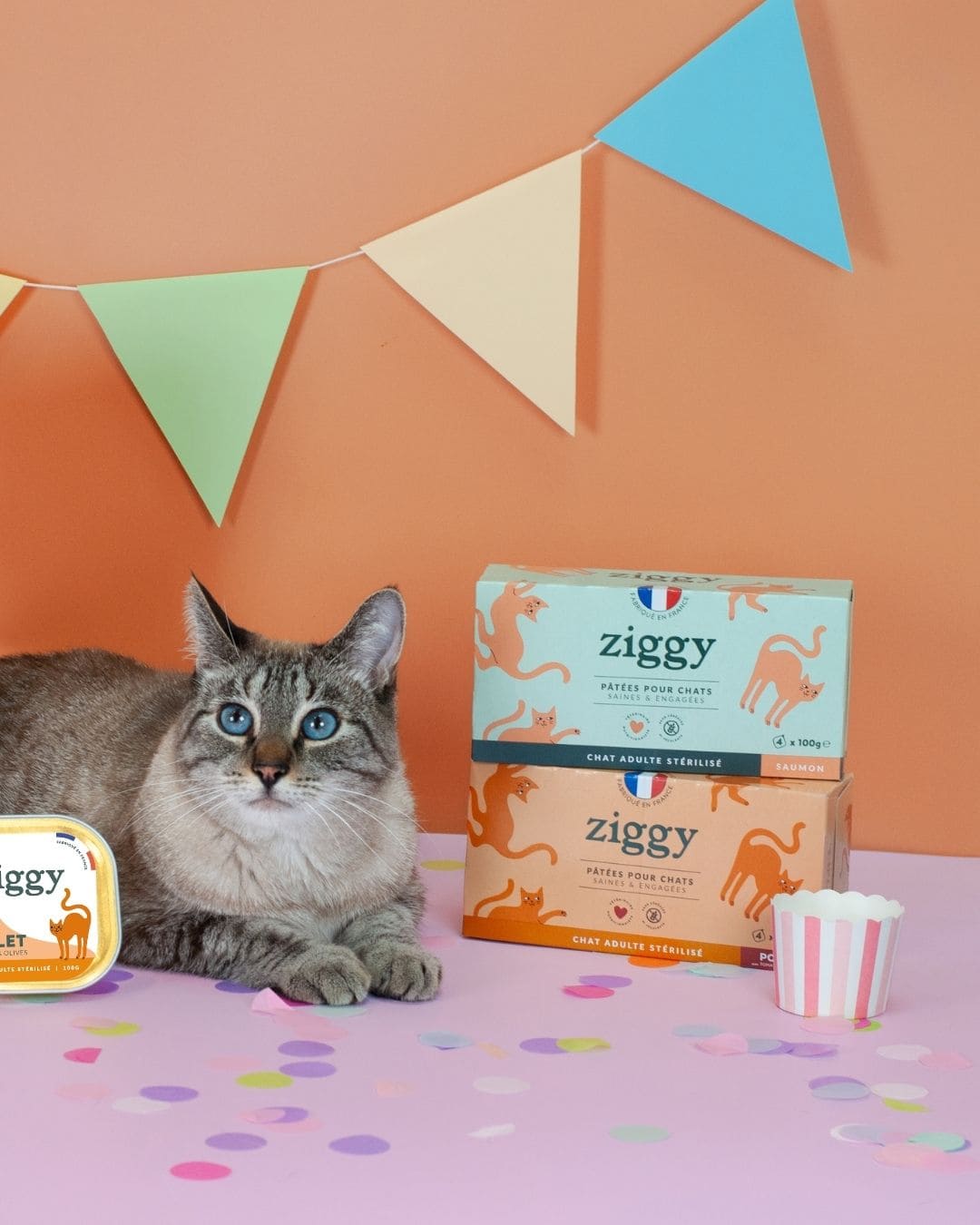 Pâtée Ziggy Stérilisé Poulet, mise en situation avec un chat